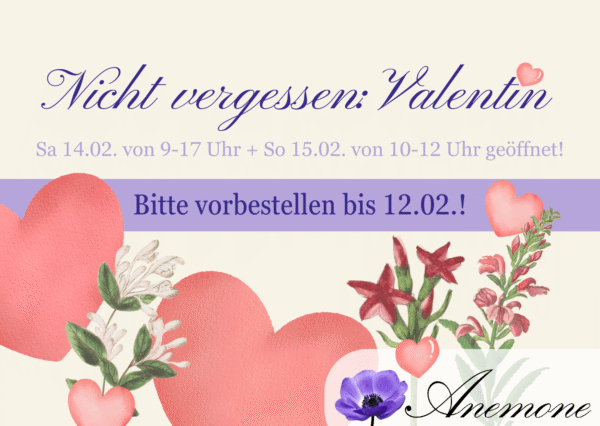 2026 Anemone Valentinstag