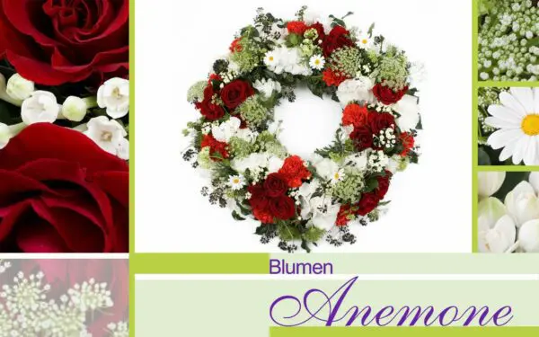 Kranz mit Rosen bei Blumen Anemone