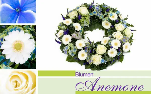 Blumenkranz bei Blumen Anemone in München-Obergiesing
