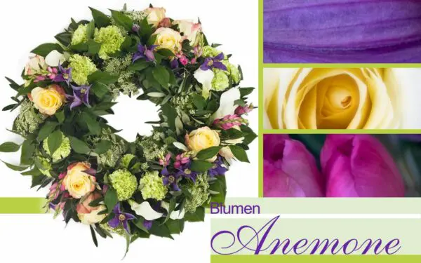 Blumenkranz bei Blumen Anemone