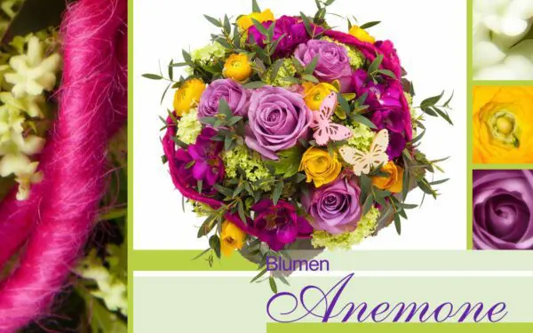 Blumenstrauß Frühling pinke Rosen und Schmetterlinge bei Blumen Anemone