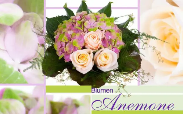 Blumenstrauß rosa Rosen Blumen Anemone München