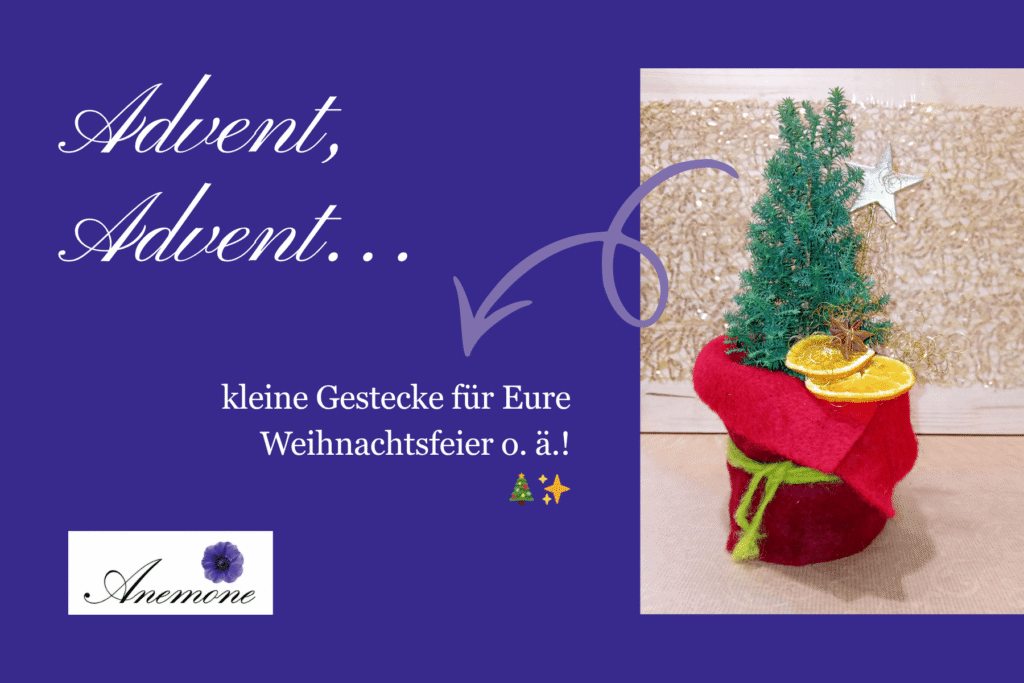 Anemone Adventgestecke