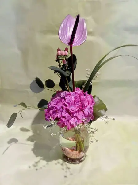 Anthurie und Hortensie für Tischdeko