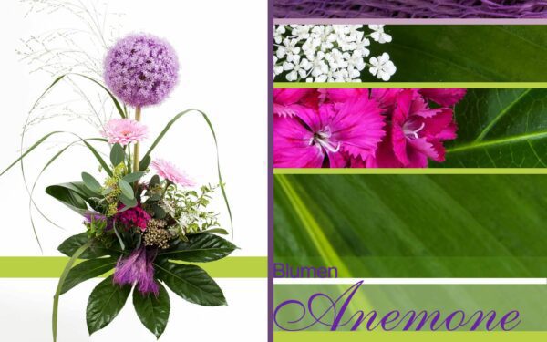 Blumengesteck rosa und violett bei Blumen Anemone in München