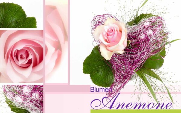 Blumengesteck mit Rose bei Blumen Anemone in München