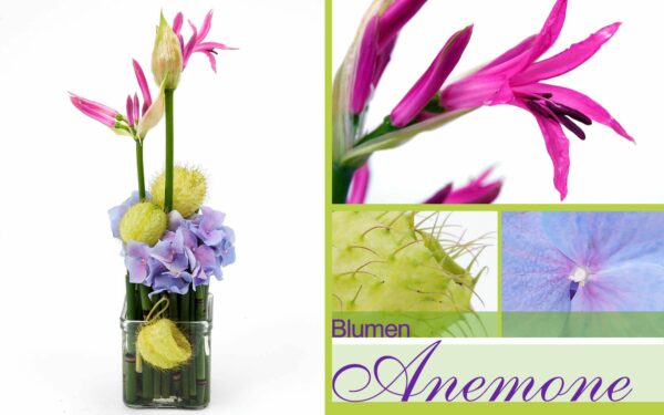 Blumendekoration aus Nerinen und Hortensien in München - Obergiesing