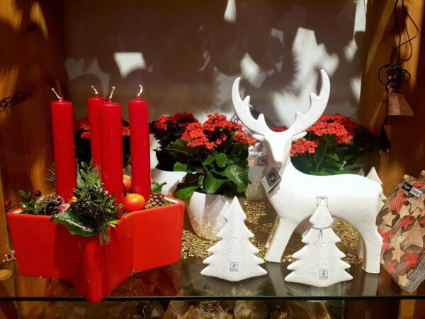 Kleiner Kerzenstern und Rentier