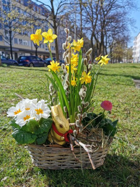 Osterkoerbchen Mit Narzissen Und Hase