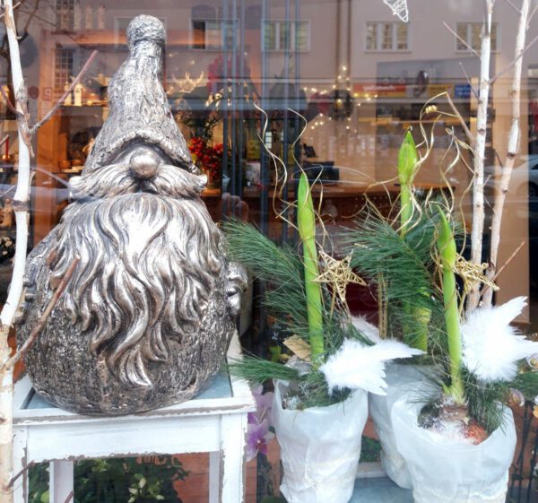 Winterliche Stimmung Bei Blumen Anemone